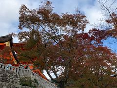 -有栖山 清光院 清水寺