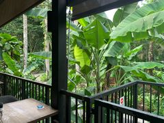-植物园哈利亚餐厅