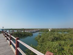 -北海金海湾红树林生态旅游区