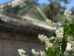 -潭柘寺景区