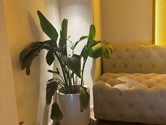 -泰禾馨·泰式按摩精油SPA(河西万达店)