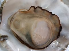 -精致顺德菜(琶洲店)