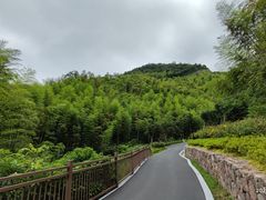 -莫干山风景区