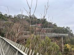 -福道