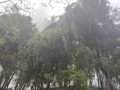 -云里小坐·海泉湾·团建·宴席·下午茶(金堂海泉湾店)