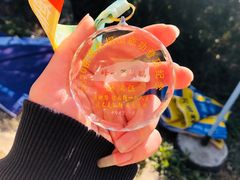 -梧桐山风景名胜区