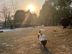 -南翔镇银翔湖公园