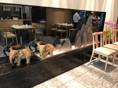 -金典银峰老鹅馆·昆山菜(亭林公园店)