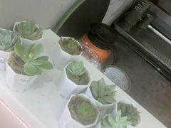 -观音桥步行街