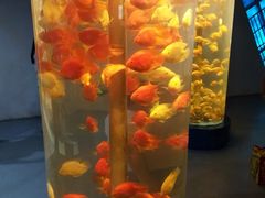 -苏州海洋馆