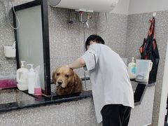 -宠物家(角门东店)