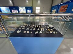 -上海海洋大学鱼文化博物馆(军工路校区)