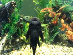 -常州海昌海洋探索馆