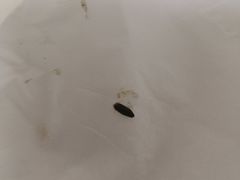 -顺客福(震泽路店)