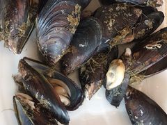 -渔中舟海鲜大排档(普陀沈家门店)