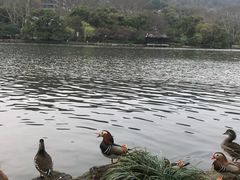 -杭州野生动物世界