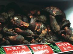 -太婆天府山珍酒楼(亚运村店)