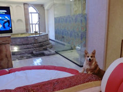 iphone_upload_pic-北京美神宫艺术主题温泉酒店