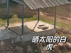 -无锡动物园·太湖欢乐园