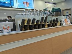 -雾与山茶(大禹城店)