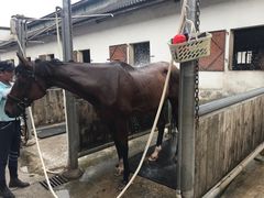 -松声马术俱乐部