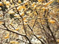 -香山公园-东宫门售票处