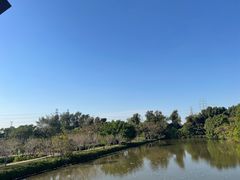-海上田园