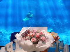 -海游荟·海洋文化餐厅(福田店)