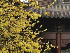 -钱王祠