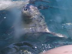 -青岛海底世界-水族馆