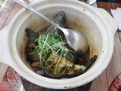 姜母龙胆斑-鑫鸿达·海鲜闽菜热炒小馆(中山路店)