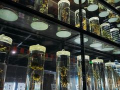 -广东中医药博物馆