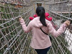 -美的鹭湖探索王国