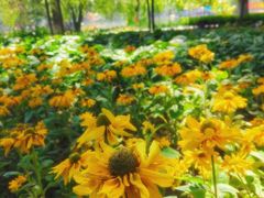 -西宁市人民公园(城西区)