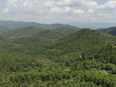 -武陵山森林公园