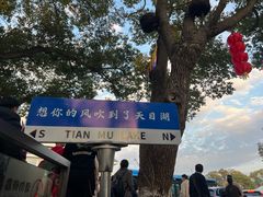 -天目湖山水园