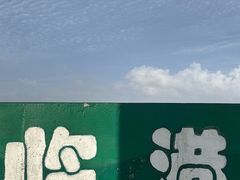 -南汇嘴观海公园