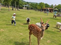 -南京金牛湖风景区