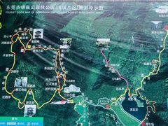 -清溪森林公园