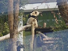 -武汉动物园