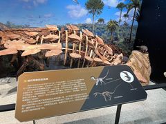 -浙江自然博物院(杭州馆)