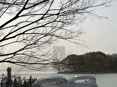 -金鸡湖桃花岛