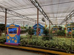 -南宫五洲植物乐园