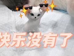 -荔康动物医院(康王北路店)