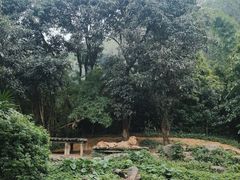 -广州长隆野生动物世界