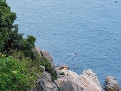 -西涌国际滨海旅游区