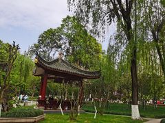 -温江公园