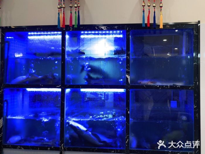 云中鱼蒸汽石锅鱼(川沙百联店)图片
