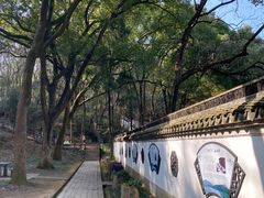 -上海佘山国家森林公园天马山园