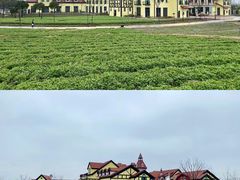 -歌斐颂巧克力小镇